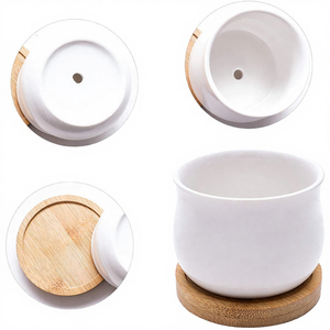 Maceta Clásica Ecológica Ligera de Porcelana y Cerámica para Suculentas con Esmalte Blanco para Jardinería en el Hogar - Product Image 3