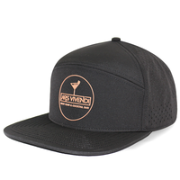 Casquette de baseball unisexe HS15 Hip Hop imperméable à 6 panneaux, visière plate, perforations laser, logo personnalisé OEM, pour activités de plein air et randonnée