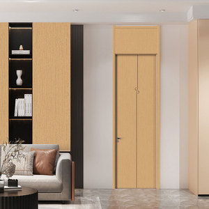 Puerta Interior Minimalista de Madera Contrachapada Sólida con Aislamiento Acústico para Sala de Estar, Apertura Manual, Superficie Acabada - Product Image 1