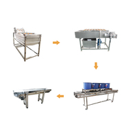 Fabriek Automatische Inductie Fruit Roll Up Schrapen Vormen Maken Verwerkingsmachine Fruit Leder Productielijn