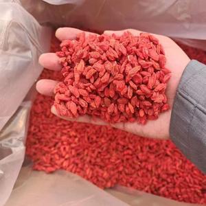 Мужские травяные добавки, травяной чай, сушеные ягоды годжи, новый урожай, сушеные ягоды волчьего плодоносца большого размера, пищевой класс, сушеные красные ягоды волчьего плодоносца из Нинся - Product Image 2