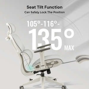 Ghế văn phòng lưới toàn phần, tay vịn 3D, dành cho giám đốc điều hành, nhà máy sản xuất đồ nội thất, thiết kế công thái học - Product Image 4