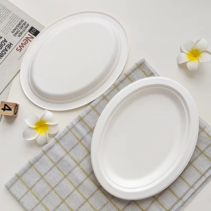Assiette ovale biodégradable en bagasse de haute qualité, 10x8, jetable, <span class=keywords><strong>micro</strong></span>-ondable, alimentaire, pour desserts et fêtes - Product Image 5