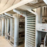 Système de cages à poules automatiques de type H, équipement avicole galvanisé à chaud pour les élevages commerciaux de poules pondeuses
