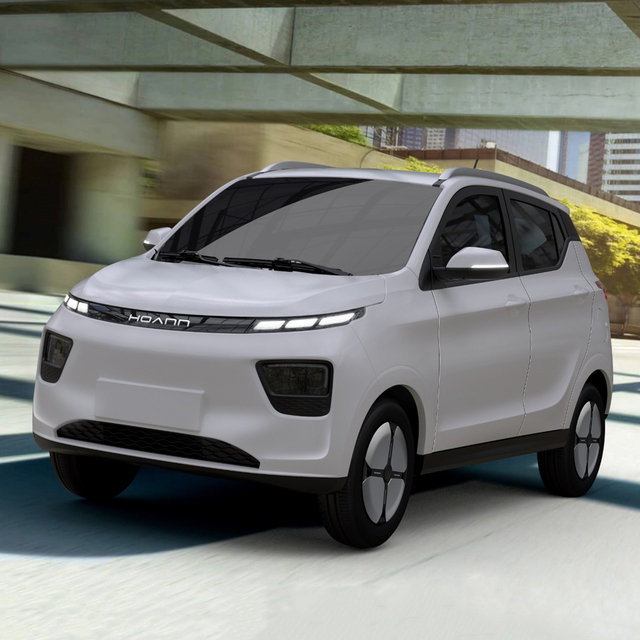 Hot Sale Mini Electric Car Adult Electric Cars