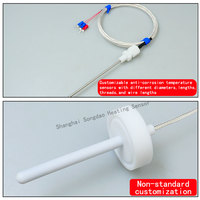 PT100 PTFE Probe Anti-corrosion Acid Alkali Resistant Thermocouple PTFE Temperature Sensor Optical Rod Probe Temperature Sensing