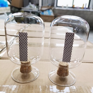 Bán buôn rõ ràng cloche chai thủy tinh với Tiền Đạo và nút chai - Product Image 2