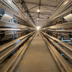 Bangyuan-Sistema de jaula para aves de corral, sistema de jaula con equipo automático - Product Image 3