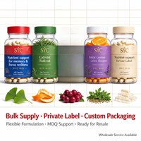 SYC BIO Brain Memory Focus Ginkgo Biloba Capsules 60 Vegan Natural Dietary Supplement Adult Immune Sleep Support OEM Customized