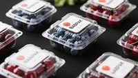 Emballages en plastique transparent PLA de 1 mm d'épaisseur, jetables, de qualité alimentaire, recyclables, pour la cerise et la myrtille, impression numérique