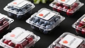 Clear PLA Fruit Punnets Disposable Clamshell Packaging Food Grade Recyclable <b>Box</b> <b>Plastic</b> Punnets for Blueberry Cherry <b>Display</b> - Product Image 3