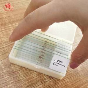 Microscópio Biológico para Imagem de Sangue Humano: Eritrocitos e Leucócitos – Seção de Amostra Clara e Fácil de Observar - Product Image 5