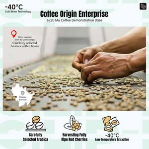 <span class=keywords><strong>Café</strong></span> instantané probiotique de haute qualité du Yunnan à grains fins pour la digestion et la santé, vente <span class=keywords><strong>en</strong></span> gros ODM - Product Image 5