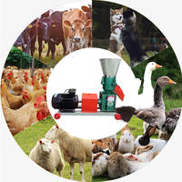 Machine à granulés d'aliments pour animaux de 800-1000 kg/h, machine à granulés d'aliments efficace, granulateur d'aliments pour animaux, machine à granulés d'aliments à petite échelle pour animaux