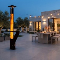 Poêle à granulés de bois pour terrasse extérieure avec kit torche et foyer en verre