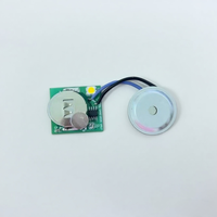 Kartu Ucapan magnetik modul melodi tunggal dengan lampu/modul musik LED untuk kartu ucapan dengan Sensor magnetis