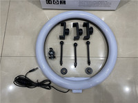 Nouvelle Lampe Annulaire LED Portable OEM de 14 pouces (36 cm) pour Studio YouTube, Maquillage, Vidéo et Selfie, Idéale pour TikTok