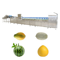Serie machines voor het sorteren en verwerken van fruit en groenten