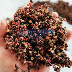 Four de séchage automatique à plateau pour épices, idéal pour le poivre du Sichuan, à prix compétitif et très demandé - Product Image 3