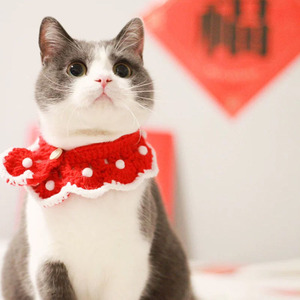 Jolie princesse tricoté dentelle chien chat collier promotionnel produits pour animaux de compagnie ornement accessoires - Product Image 5