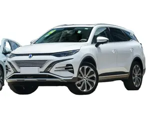 럭셔리 SUV 텡시 덴자 N8 PHEV 7 좌석 새로운 에너지 차량 럭셔리 190 KM/H 장거리 EV 자동차 AWD 4WD 텡시 N8 전기 자동차