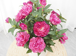 Flores de Peonía de Plástico al por Mayor, Peonías Artificiales para Decoración de Bodas y Hogar - Product Image 2