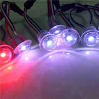 Fuente de luz de punto impermeable para Exteriores de 12V, 20mm, luz de píxeles LED RGB programable para Carnaval para parques temáticos