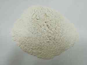 最高品質のアイルランド産海藻パウダー（コンドラス・クリプサス）ストレートパウダー アイリッシュモスパウダー - Product Image 2