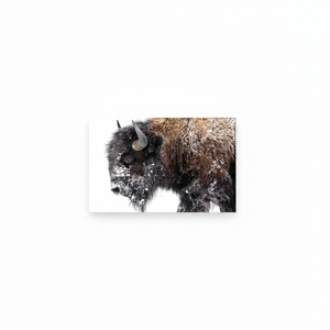 Winter Bison Canvas Print: Elegant American Animal Wall Art,<b>WRAPPED</b> CANVAS - Product Image 2