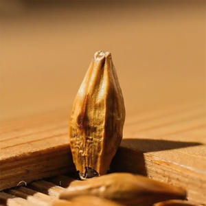 ชาจากมาอิชาชาสมุนไพรอบแห้งชาผัดข้าวบาร์เลย์ - Product Image 4