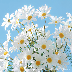 Fleurs artificielles en soie Kch, marguerites blanches, jaunes et roses, arrangement floral pour la maison et les décorations de mariage - Product Image 2