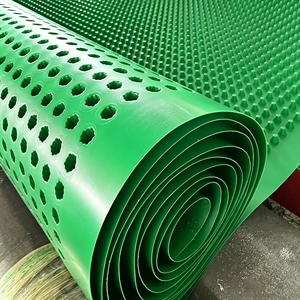 Planche de drainage industrielle robuste à haute résistance à la compression pour extérieur et jardin, avec noyau <span class=keywords><strong>en</strong></span> plastique, protège le <span class=keywords><strong>gazon</strong></span> et installation facile - Product Image 6