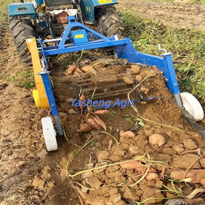 Macchina Agricola Raccoglitrice per Trattore <span class=keywords><strong>a</strong></span> 3 Punti, Tipo Pesante, per Patate, Carote e Patate Dolci, con Pala Vibrante per il Terreno - Product Image 6