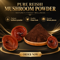Poudre d'extrait de champignon Reishi entier séché, poudre fine à base de plantes pour aliments santé