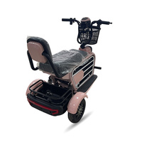 Tricycle électrique Holladay 48v 250w à deux places, moteur avant, tricycle multifonction, moto 48v, vélo électrique pliable à 3 roues