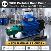 Pompe à huile à engrenages en fonte WCB 50, 25 LPM, 0,3 Mpa, 0,75 KW, pompe à huile moteur à engrenages en bronze, 1400 tr/min, avec moteur, entraînée par un moteur AC