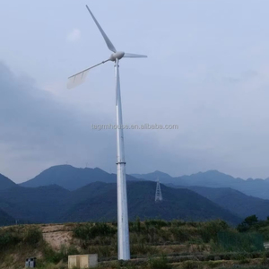 Éoliennes Générateur d'éolienne 2000w 48V 24V 12V Kit de génération de Vent d'éolienne Altern d'énergie Libre avec contrôleur Mppt for Un Usage Domestique(Turbine Only,48V