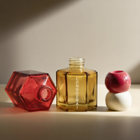 Parfum d'intérieur 50ml 100ml Diffuseur d'huiles essentielles de parfum en verre irrégulier à la mode Diffuseur de roseaux avec bâton aromatique