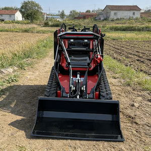Minicargadora de 25hp de Gran Capacidad de Carga en Venta, con Accesorios y Cucharón - Product Image 1