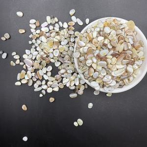 Groothandel in gebroken zeeschelpen, nagelknippers, kleurrijke Tamsui rivierparelschelpen, nageldecoraties - Product Image 3