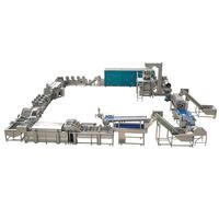 Ligne de production automatique de friteuses à légumes avec acier inoxydable de qualité alimentaire, capacité de 300 kg/h pour les chips de pommes de terre, les frites surgelées
