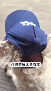 Venta caliente Teddy <span class=keywords><strong>Pet</strong></span> Custom Cotton Outdoor Baseball Hat Sport Style Accesorio para el cabello para verano Outwear - Product Image 2