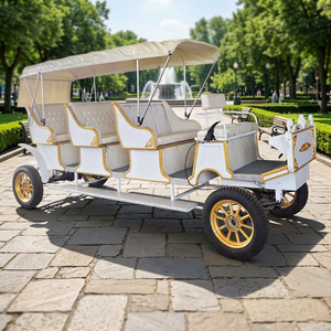 Nouveau véhicule électrique de tourisme de style européen, parfait pour les parcs d'attractions, chariot à chevaux à 3 rangées, chariot tiré par des chevaux - Product Image 1