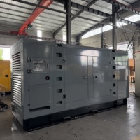 Groupe électrogène diesel silencieux Baudouin 312,5 kVA 250 kW haute performance avec certification CE, type silencieux