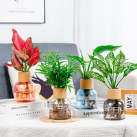 Ventes en gros de pots de fleurs hydroponiques en plastique PP transparent, écologiques, chromés, modernes et simples, 150 ml