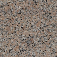 Dalles de comptoir en granit naturel Porino de Chine Elite Stone
