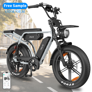 Vélo électrique cargo M9 20 pouces 48V 17,5 x 2 35Ah longue autonomie avec pneus larges et protection <span class=keywords><strong>de</strong></span> chaîne – Vélo polyvalent - Product Image 1