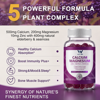 Gummies Calcium Magnésium Zinc Mousse de Mer Sureau Soutien Os et Dents OEM Marque Privée Complément Alimentaire