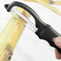 Multifunctionele 2 In 1 Vegetarische Aardappelschiller Keuken Roestvrijstalen Groente-En Fruitschiller Met Plastic Grip