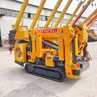 Mini-grue araignée diesel et électrique à double alimentation, grue de levage télescopique hydraulique avec nacelle de travail aérienne en option